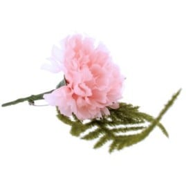 pink-button-hole-fabric-carnation-product-image-300x300